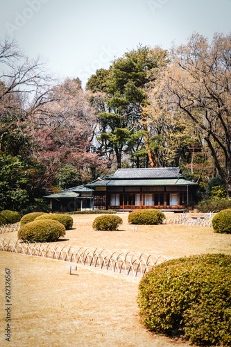 Canvas Print Tea house at Yoyogi Park in Tokyo, Japan