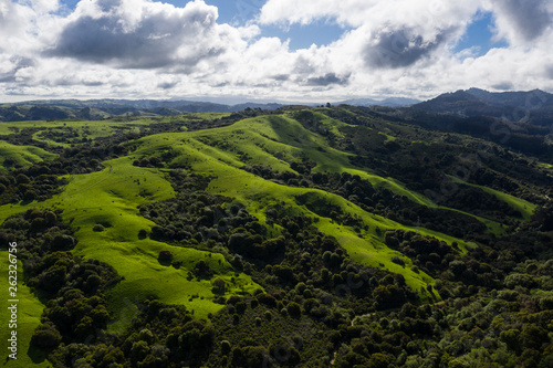 Photographie A wet winter has caused lush growth in the East Bay hills of Northern California