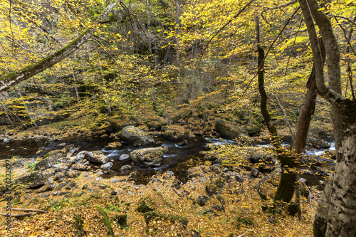 Amazing view of Devin river gorge, Rhodope Mountains, Bulgaria