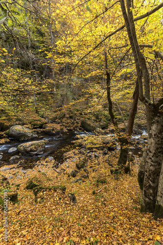 Amazing view of Devin river gorge, Rhodope Mountains, Bulgaria