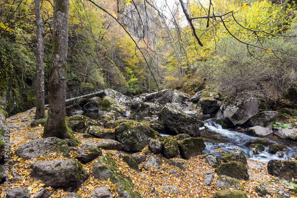 Amazing view of Devin river gorge, Rhodope Mountains, Bulgaria
