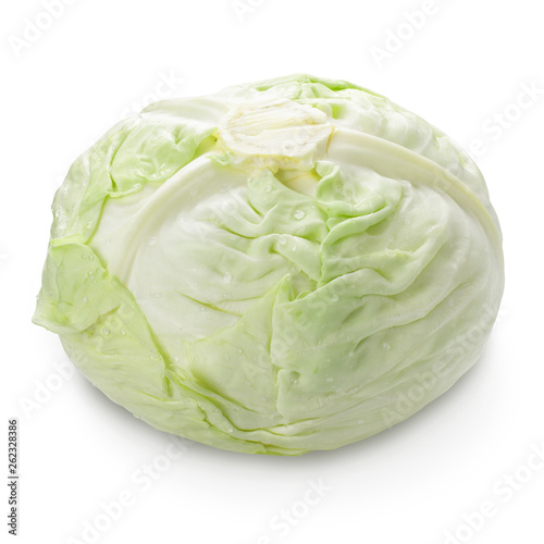 fresh white cabbage whole head isolated on white with shadow, for your packaging design © Alexey