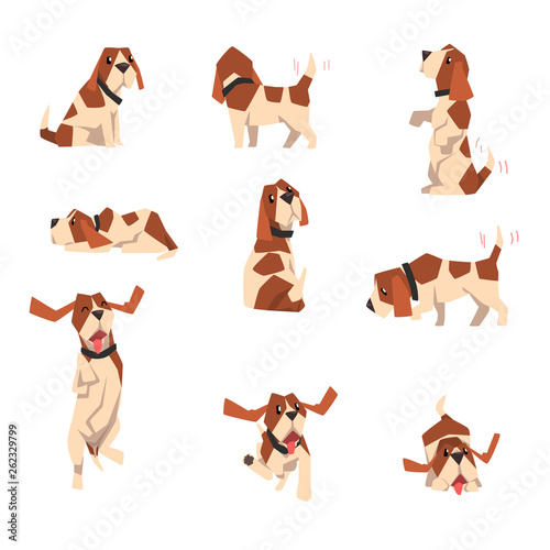 Beagle dog in various poses set, cute funny animal cartoon character vector Illustration on a white background