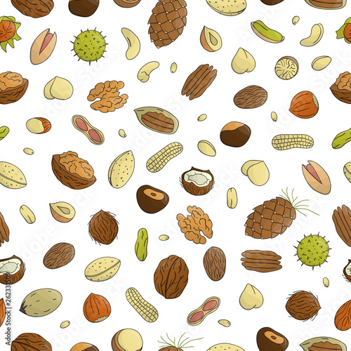 Vector seamless pattern of colored nuts. Repeat background with isolated bright nuts