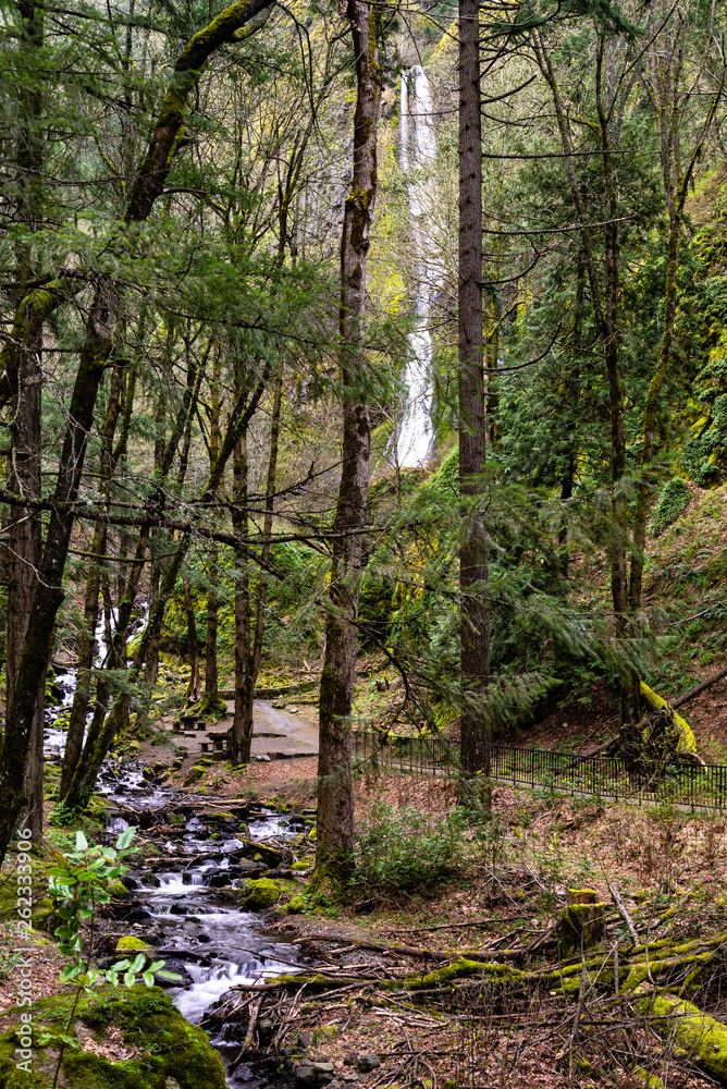 A view of Starvation Creek and Starvation Creek Waterfall shot from a distance. Shows path to the viewing area. Columbia River Gorge. A view of Starvation Creek and Starvation Creek Waterfall shot from a distance. Shows path to the viewing area. Columbia River Gorge.