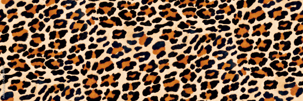leopard skin seamless pattern leopard skin seamless pattern