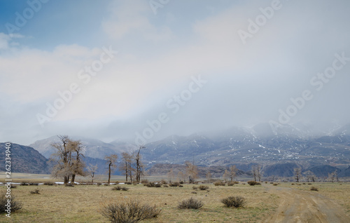 landscape with blue sky and clouds