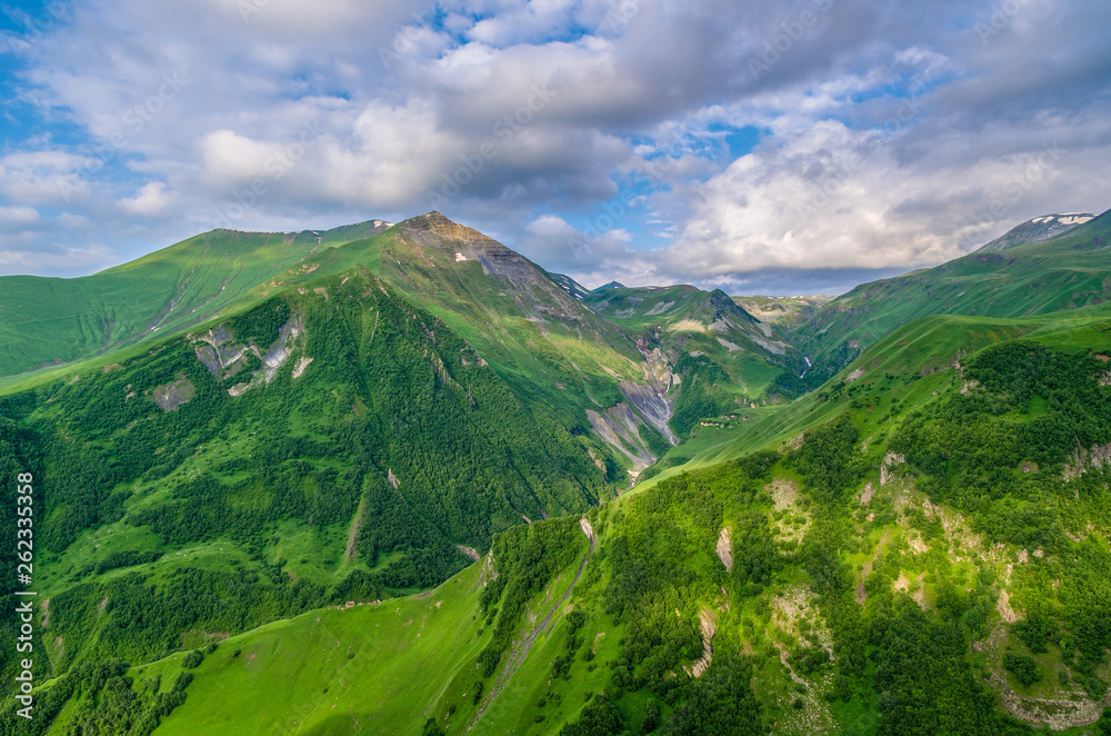 Panorama of mountains and gorge, overgrown with dense forest