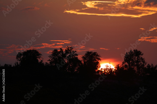 Sonnenuntergang Kr  ger Park   Sundown Kruger Park  