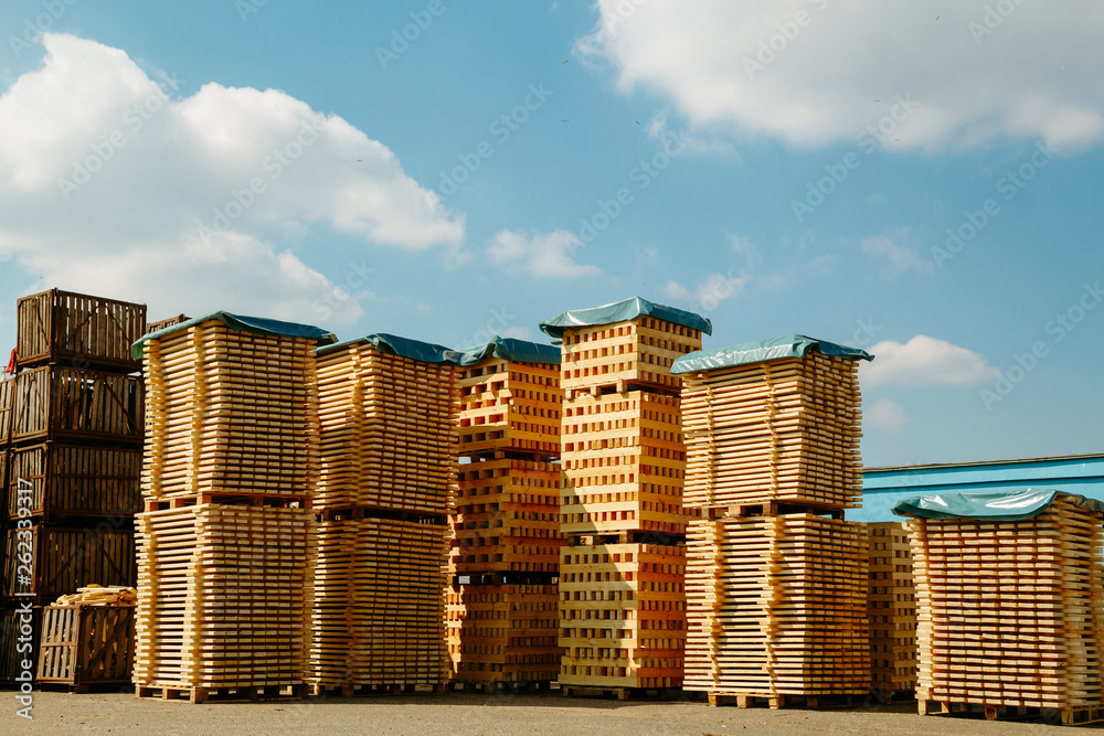 Stacked wooden boards. Building materials Stacked wooden boards. Building materials