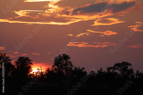 Sonnenuntergang Krüger Park / Sundown Kruger Park /