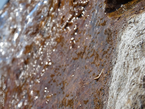 Wasser Brauner Steinuntergrund © Sascha