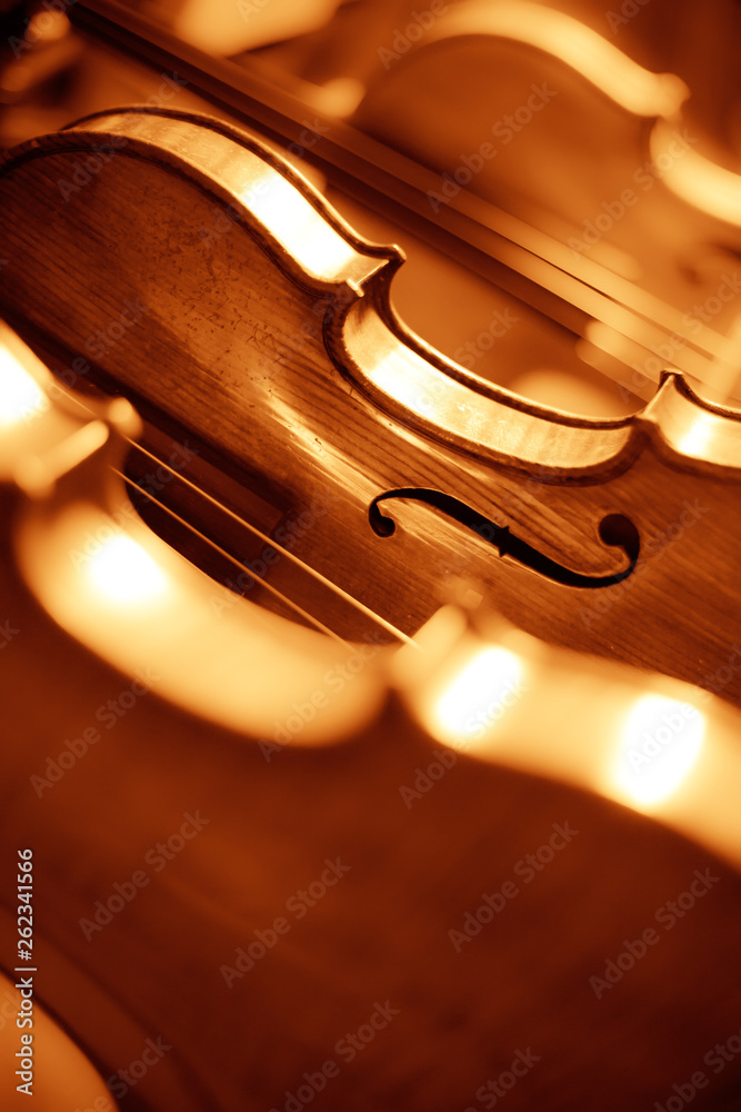 Fototapeta premium Close-up of a Violin