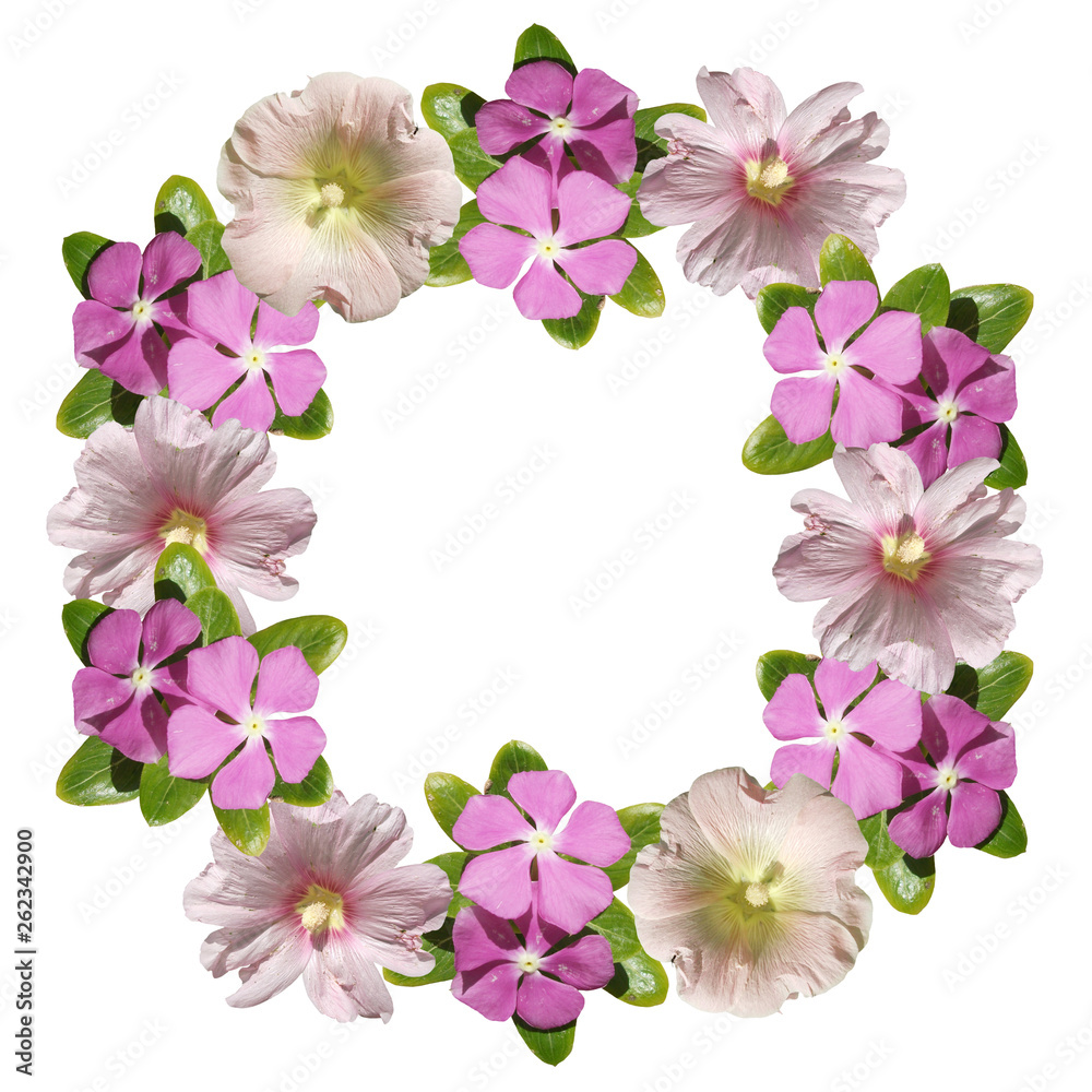 Beautiful flower circle of mallow and gloxinia. Isolated Beautiful flower circle of mallow and gloxinia. Isolated