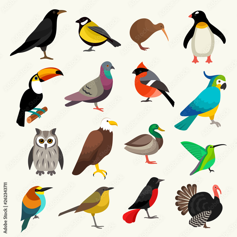 Obraz premium Birds vector set