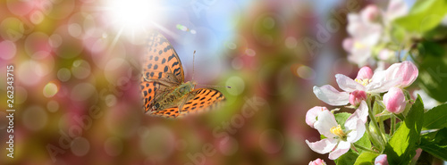 Schmetterling 548