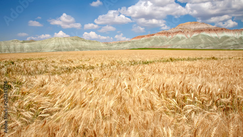 Landscape nature photography. Colorful geological formations. Ankara Beypazari, Nallihan, Cayirhan. Turkey. photo