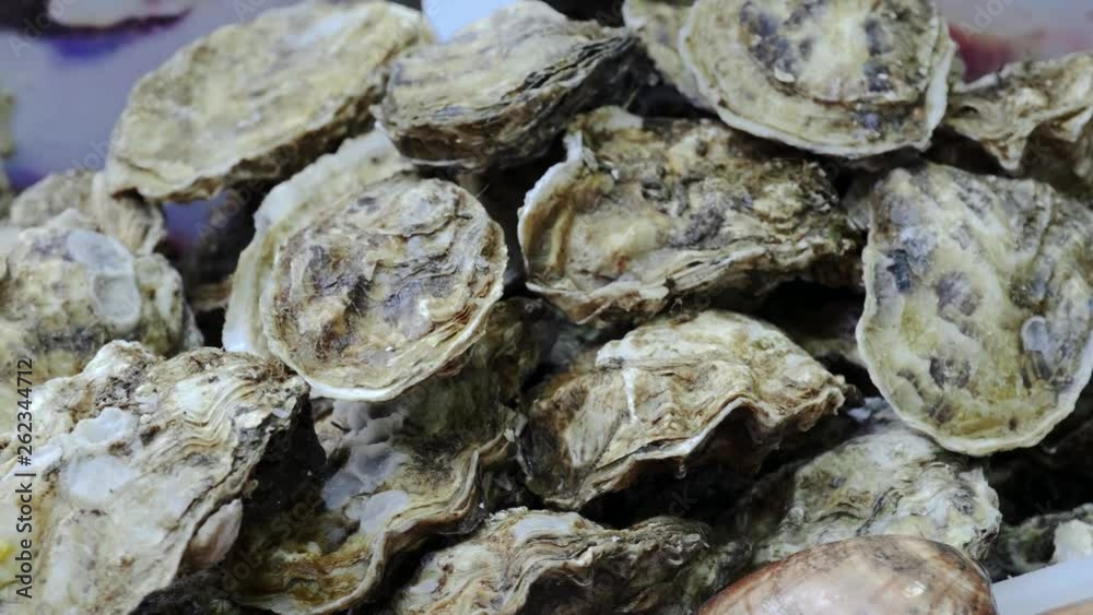 Traditional Spain Food Market in Malaga, seafood and fish