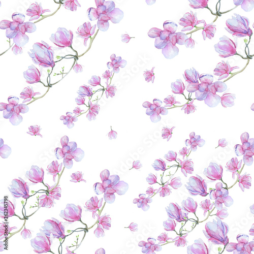 Delicate magnolia flowers on a branch. Watercolor illustration.