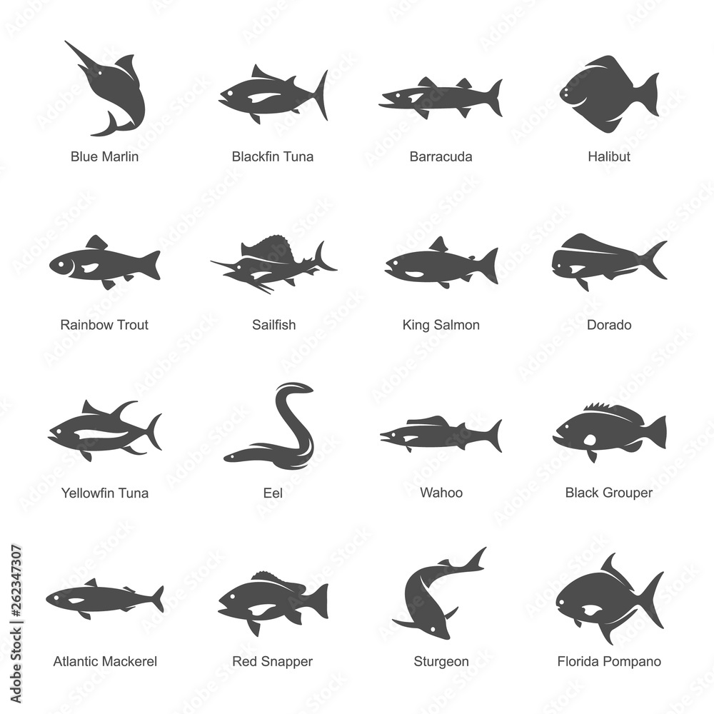 Fish vector set Fish vector set