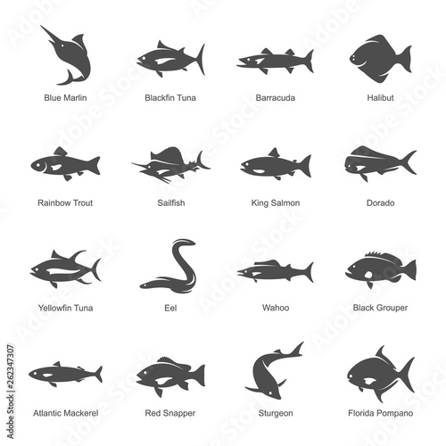 Fish vector set