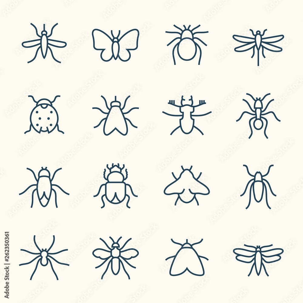 Insects line icon set Insects line icon set