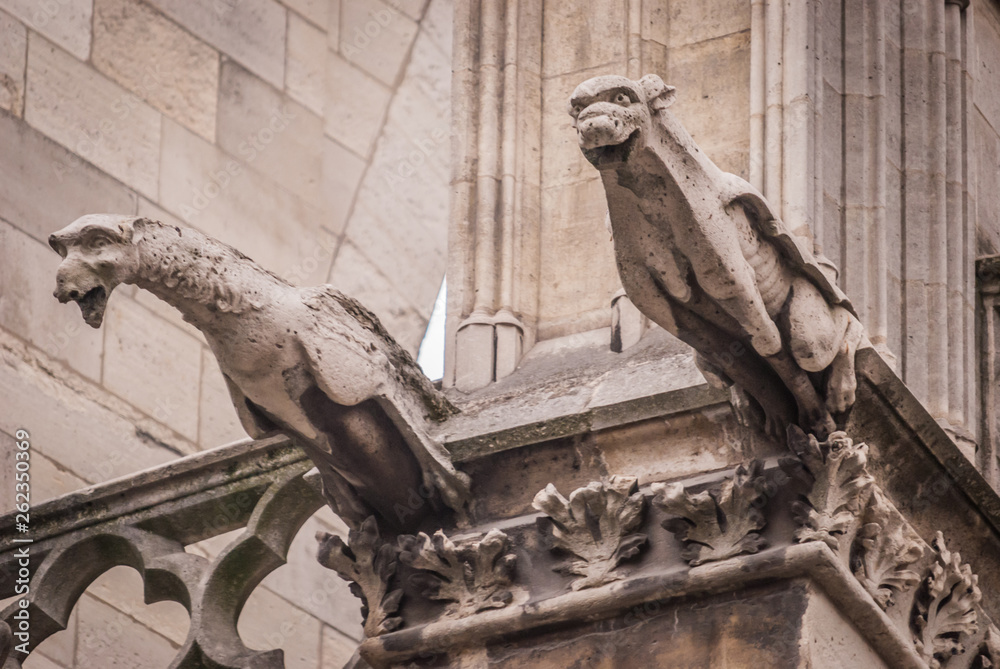 Gargoyle -Architectural details of the catholic cathedral Notre-Dame de Paris. 