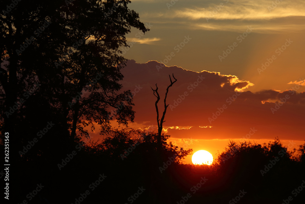 Sonnenuntergang Krüger Park / Sundown Kruger Park / Sonnenuntergang Krüger Park / Sundown Kruger Park /