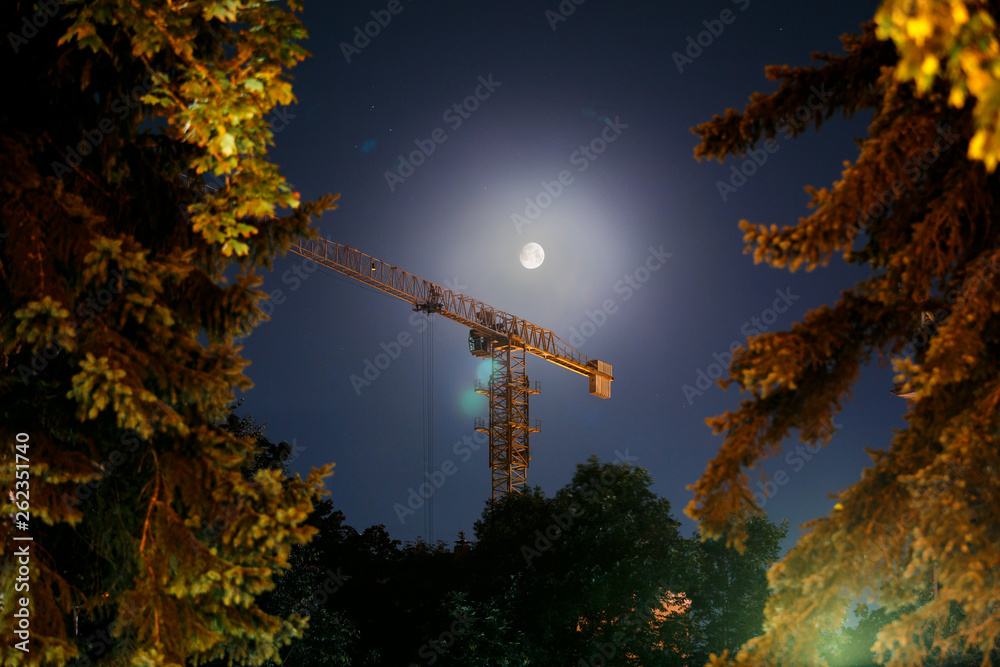 Obraz premium Crane on the background of the Moon