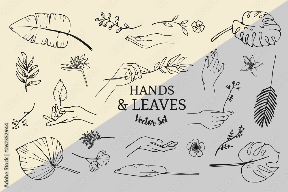 Vector Set of hand drawn line art plants, leaves and hands logo ...