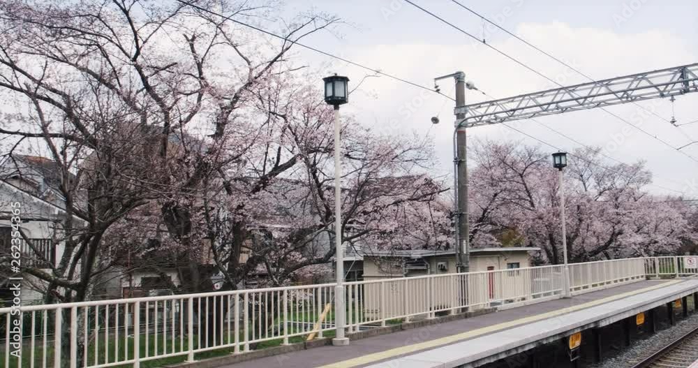 Train station with cherry blossoms, pan POV, sakura, Japan, Kyoto, 4k ProRes Train station with cherry blossoms, pan POV, sakura, Japan, Kyoto, 4k ProRes