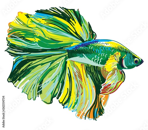 Cockerel Fish Aquarium fish. Stylish print, freehand drawing. Multicolored drawing.