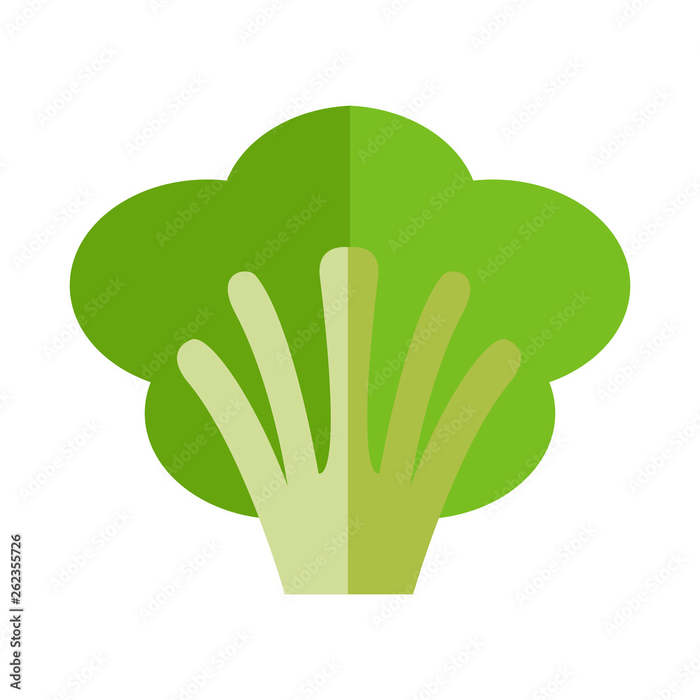 Broccoli icon. Flat illustration of broccoli vector icon isolated on white background Broccoli icon. Flat illustration of broccoli vector icon isolated on white background