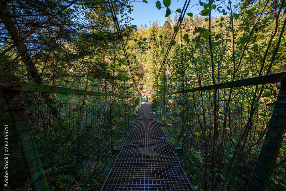 Fototapeta foot bridge over forest river in summer