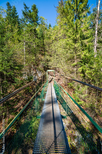 foot bridge over forest river in summer