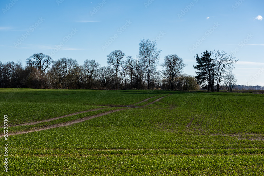 fresh green meadow fieldswith grass pattern in wet summer fresh green meadow fieldswith grass pattern in wet summer
