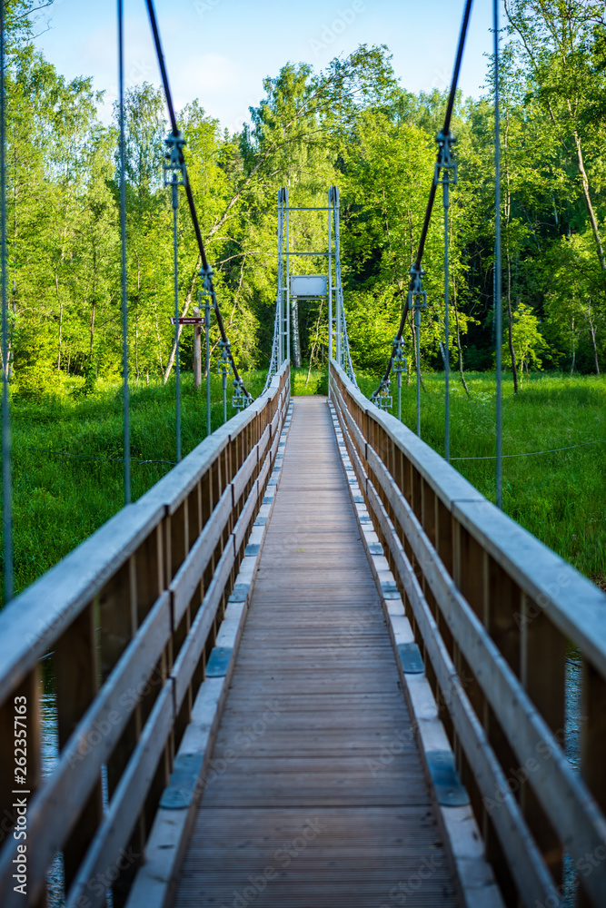 foot bridge over forest river in summer