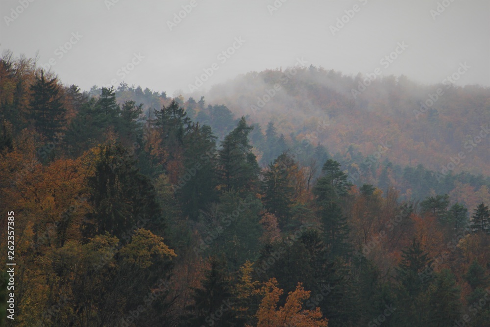 fog in the mountains fog in the mountains