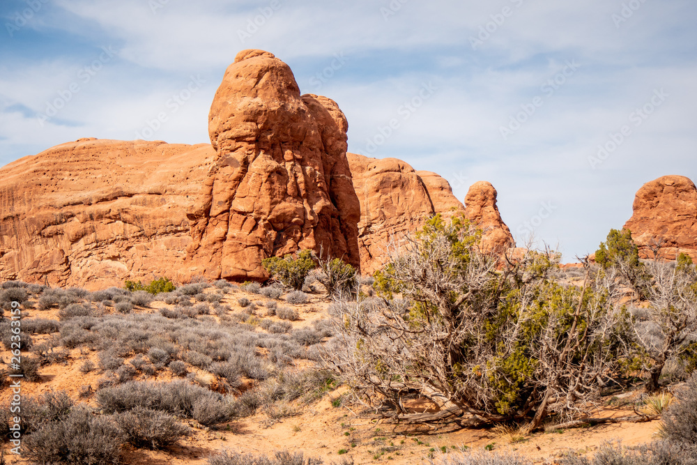 Obraz premium Amazing Scenery at Arches National Park in Utah - travel photography