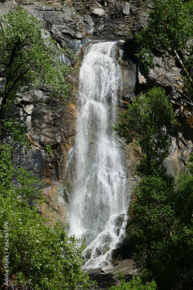 Obraz premium waterfall in forest