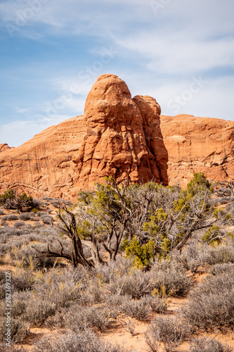 Dry vegetation at Arches National Park in the desert of Utah - travel photography