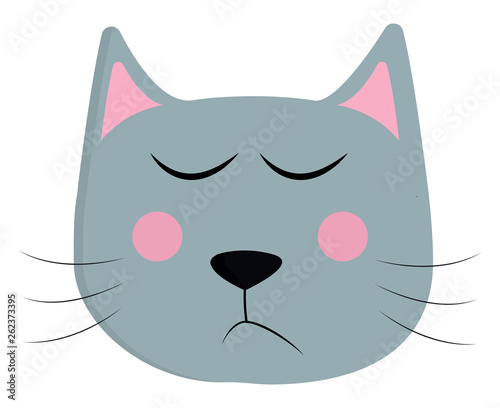 Face of a sleeping cat vector or color illustration