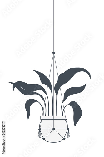 houseplant on macrame hangers icon