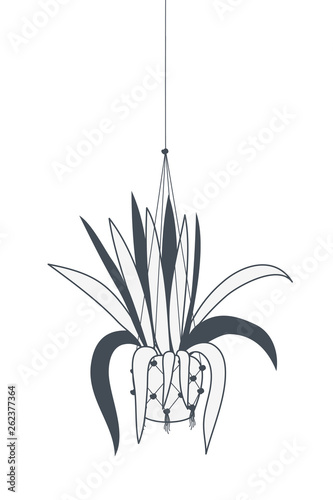 houseplant on macrame hangers icon