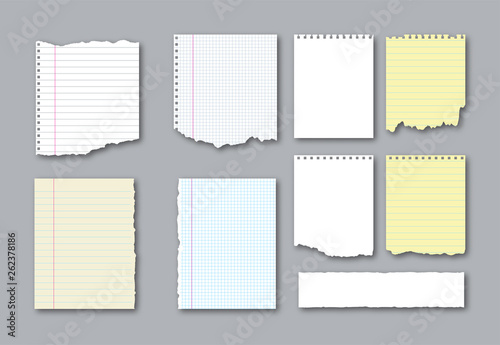 Set of different notebook torn pages and pieces of ripped paper for notes. Vector illustration 