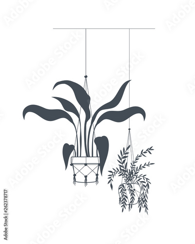 houseplants on macrame hangers icon