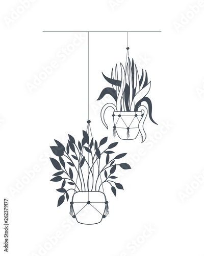 houseplants on macrame hangers icon