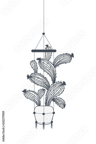 cactus on macrame hangers isolated icon