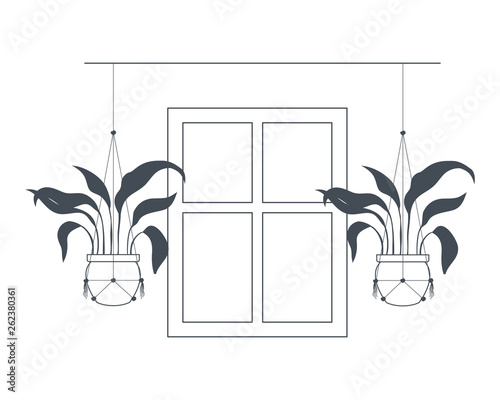 houseplants on macrame hangers icon