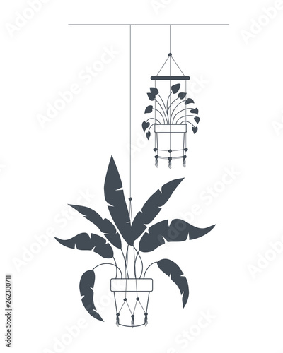 houseplants on macrame hangers icon